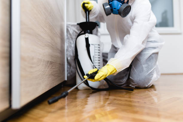 Best Best Pest Control Companies  in West Dennis, MA