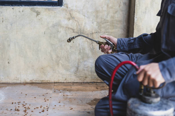 Best Mosquito Control Services  in West Dennis, MA
